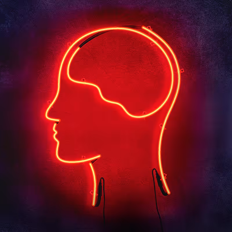 SmarterEveryDay