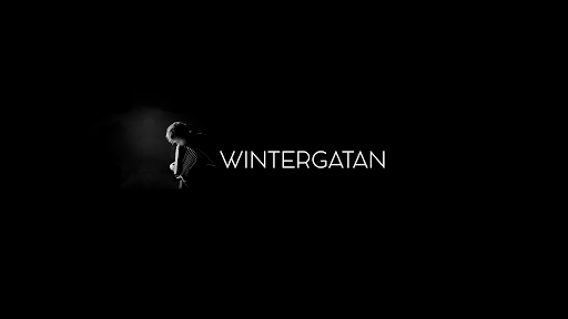 Wintergatan banner